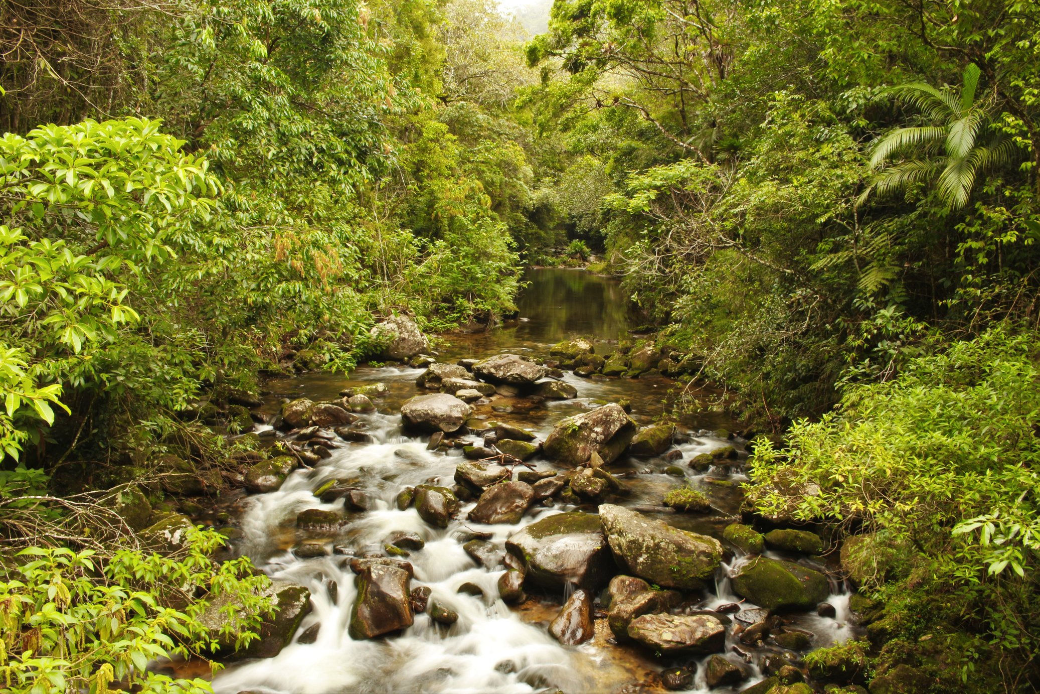 Macaé River-Nova Friburgo